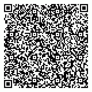 vCard 79393008411