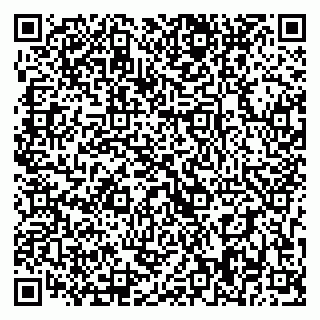 vCard 79393008521
