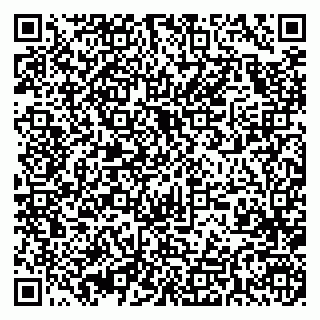 vCard 79393008533