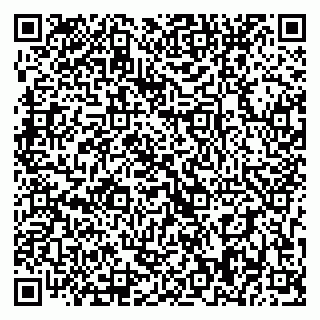 vCard 79393008542