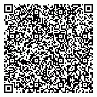 vCard 79393008580