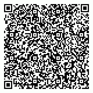 vCard 79393008629