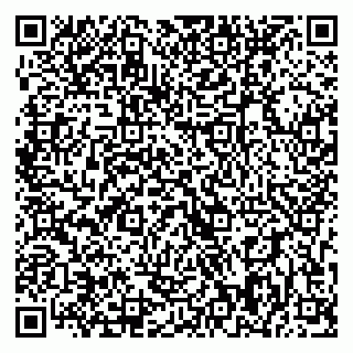 vCard 79393008802