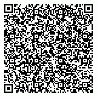 vCard 79393008831