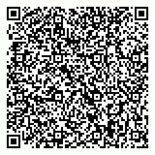 vCard 79393009021