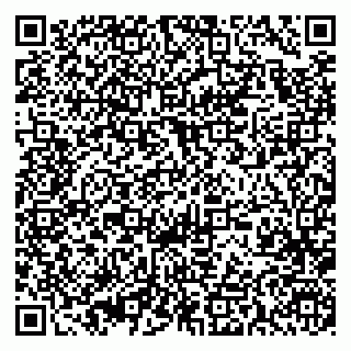 vCard 79393009037