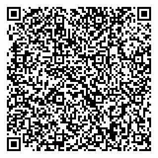 vCard 79393009063