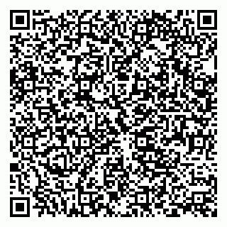 vCard 79393009069