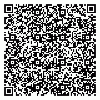 vCard 79393009073