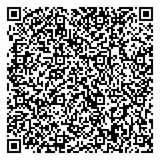 vCard 79393009084
