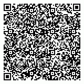 vCard 79393009147