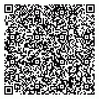 vCard 79393009153