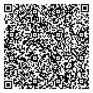 vCard 79393009621