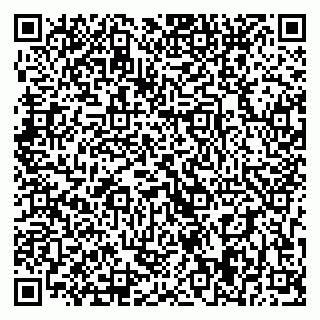 vCard 79393009631