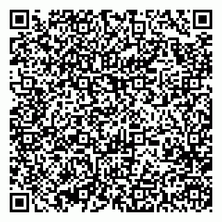 vCard 79393009933
