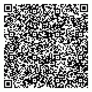 vCard 79393009971