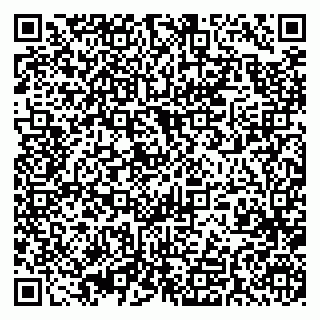 vCard 79393010004