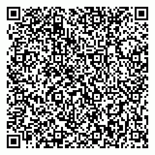 vCard 79393010020