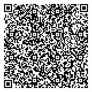 vCard 79393010021
