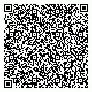 vCard 79393010041