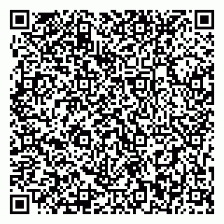 vCard 79393010108
