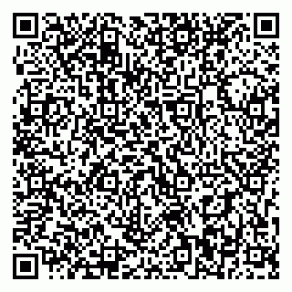 vCard 79393010129