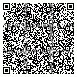 vCard 79393010133