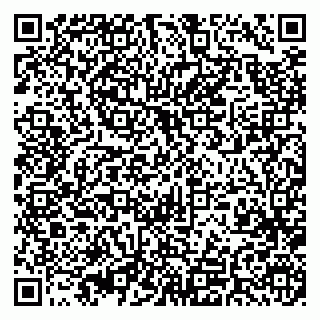 vCard 79393010180