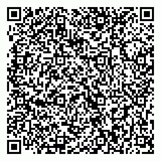 vCard 79393010203