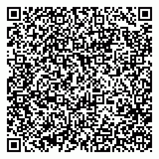 vCard 79393010211