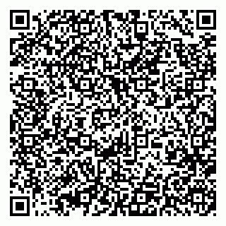vCard 79393010219