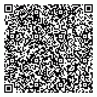 vCard 79393010281