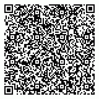 vCard 79393010285