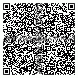 vCard 79393010290
