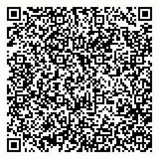 vCard 79393010295
