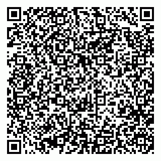 vCard 79393010304