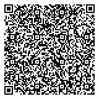 vCard 79393010313