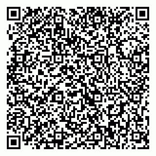 vCard 79393010315