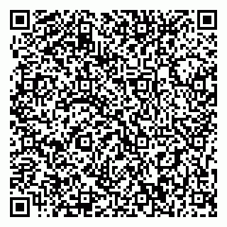 vCard 79393010317