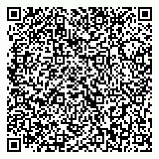 vCard 79393010319