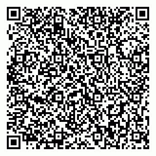 vCard 79393010321