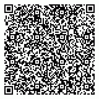 vCard 79393010325