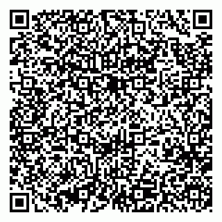 vCard 79393010328