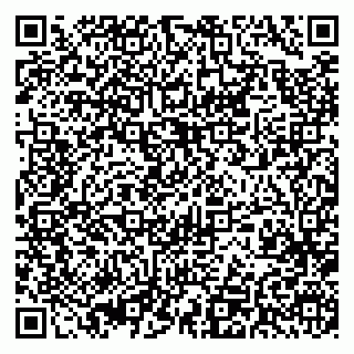 vCard 79393010329