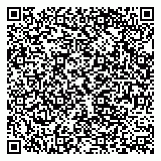 vCard 79393010330