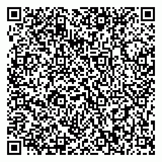 vCard 79393010337