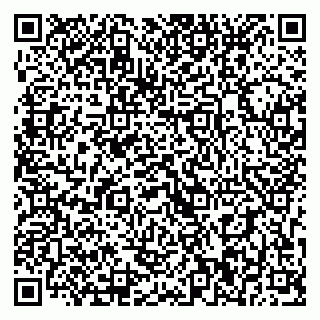 vCard 79393010351