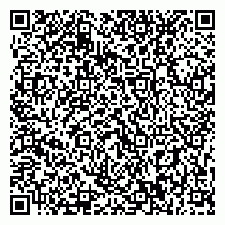 vCard 79393010357