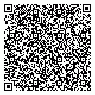 vCard 79393010380
