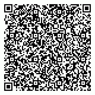 vCard 79393010381
